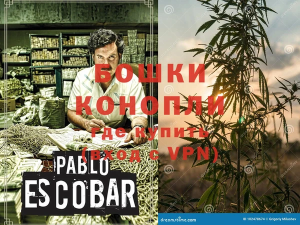 индика Снежинск