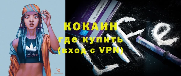твердый Алексин