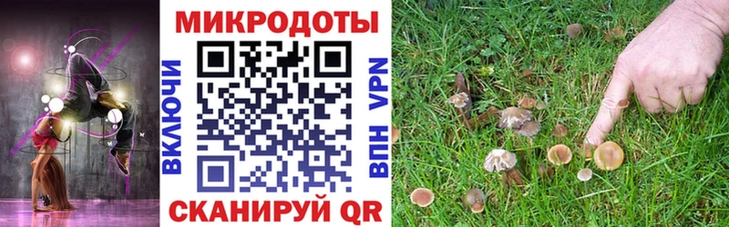 Псилоцибиновые грибы MAGIC MUSHROOMS  Всеволожск 