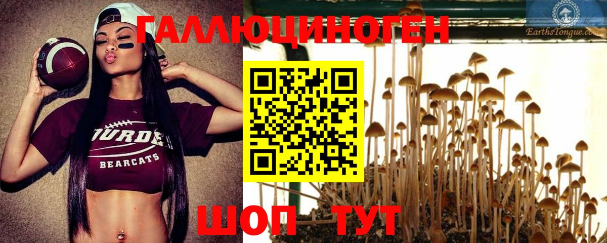 Всеволожск  Галлюциногенные грибы MAGIC MUSHROOMS  Вход с VPN 